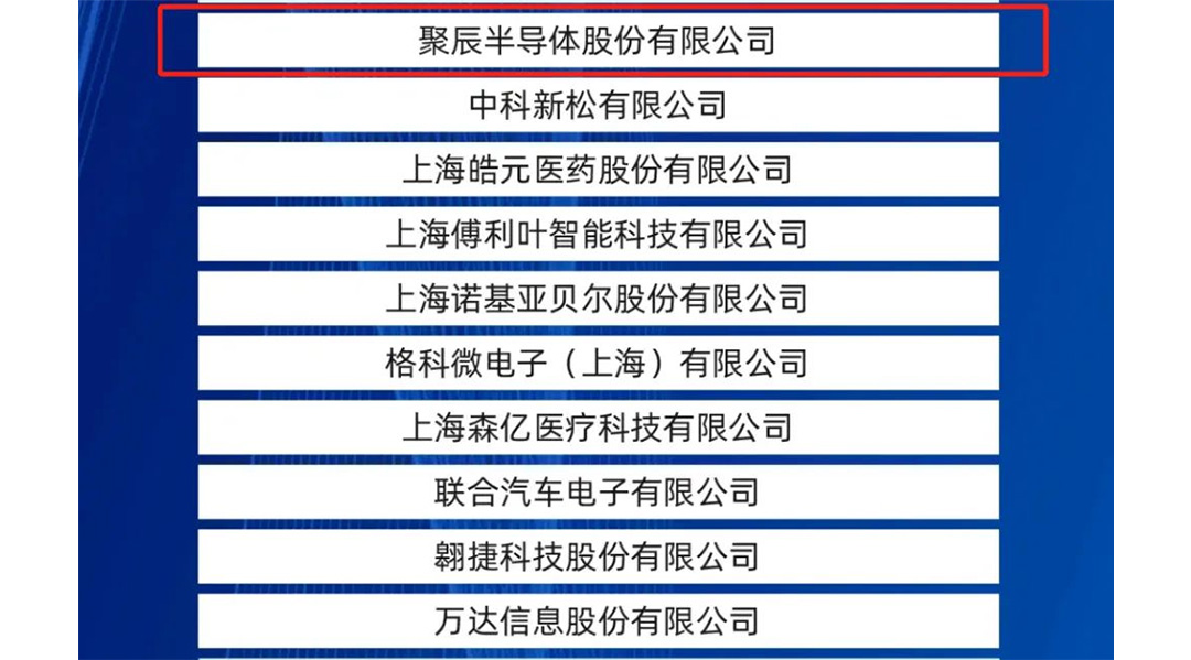 至尊国际股份入选2024上海硬核科技企业TOP100榜单